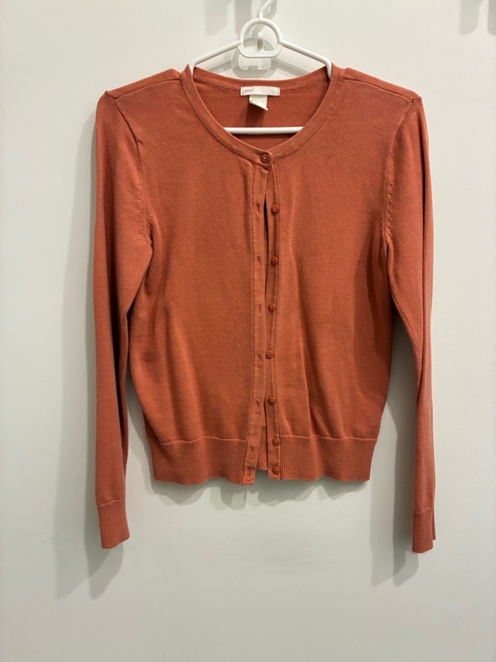 H&M BASIC Terracotta Knit Crewneck Sweater